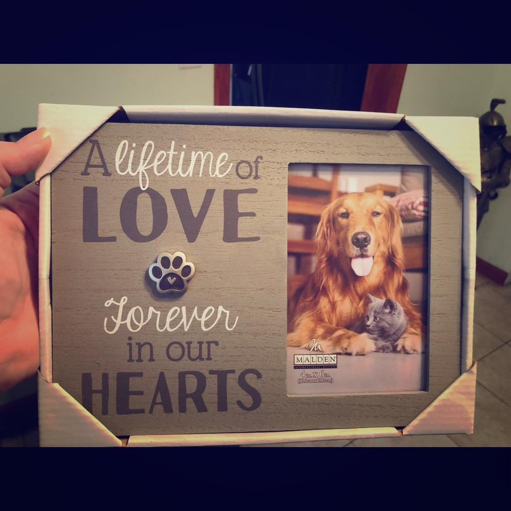Dog memorial photo framed 🐾
